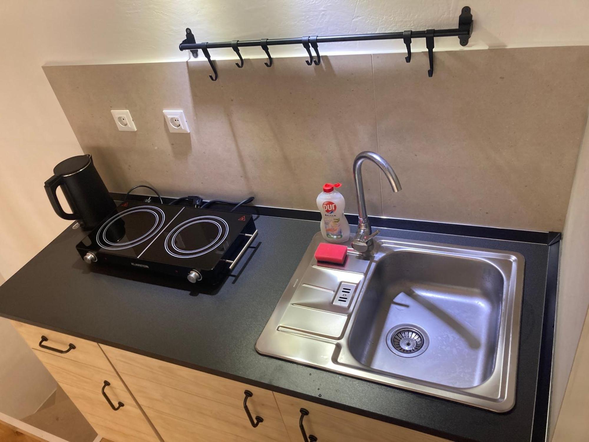 Apartment Vicelic *